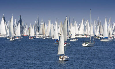 Regata della barcolana