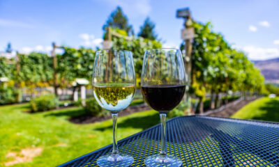 Calici di vino