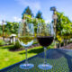 Calici di vino