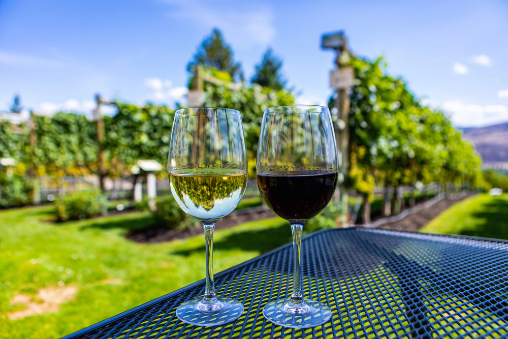 Calici di vino
