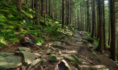 Sentiero di montagna
