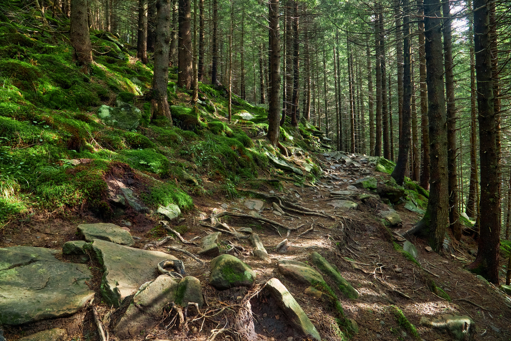 Sentiero di montagna