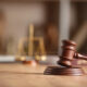 Tribunale - Maltrattamenti Udine