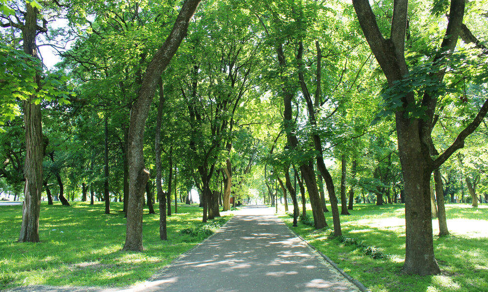 Parco cittadino - Ecosistema Urbano 2025