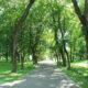 Parco cittadino - Ecosistema Urbano 2025