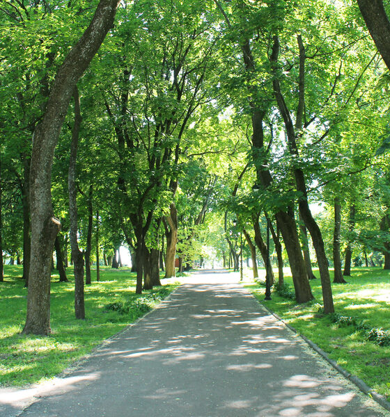 Parco cittadino - Ecosistema Urbano 2025