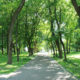 Parco cittadino - Ecosistema Urbano 2025