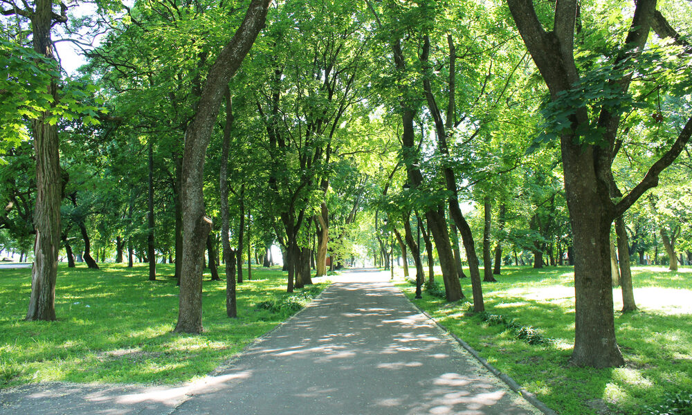 Parco cittadino - Ecosistema Urbano 2025
