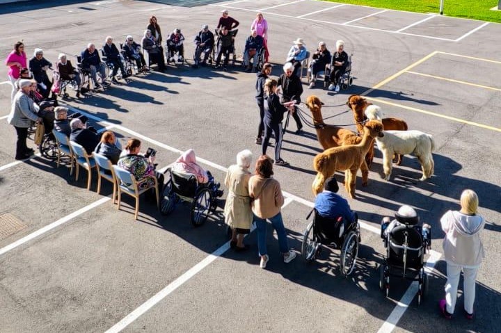 Un momento della pet therapy