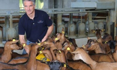 Azienda agricola San Gregorio