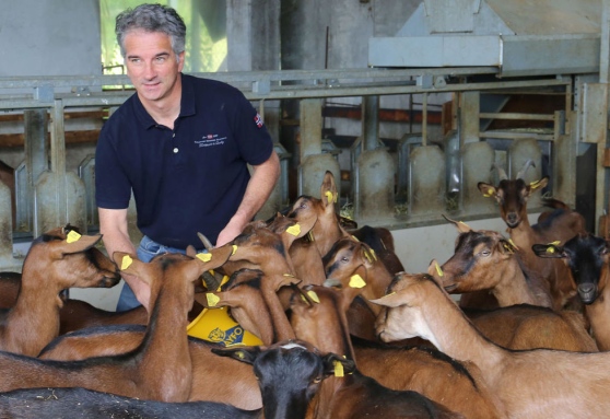 Azienda agricola San Gregorio