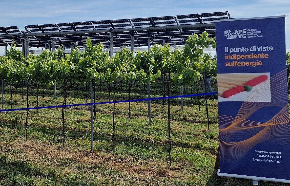 Impianto agrivoltaico avanzato a Palazzolo - APe FVG