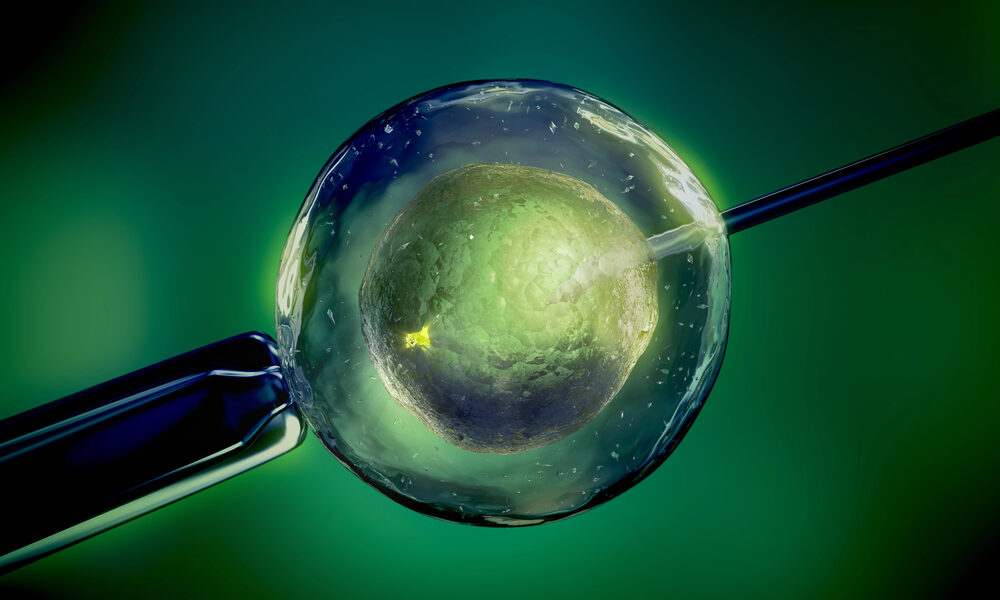 Procreazione assistita