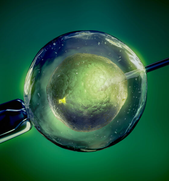 Procreazione assistita