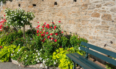 Fiori - Orti giordini cittadini