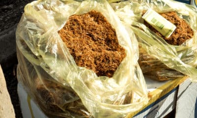 Tabacco di contrabbando - contrabbando tabacco Pordenone