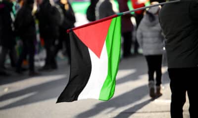 Bandiera della Palestina
