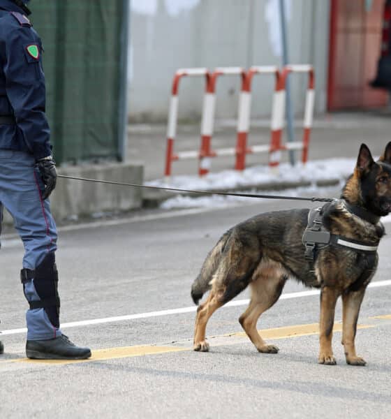 Unità cinofila - Ispezione antidroga allo IAL di Aviano