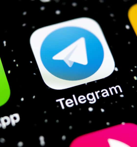 Telegram - Pedopornografia Pordenone