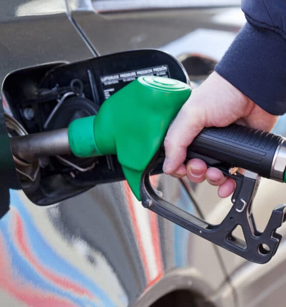 Pompa di benzina - Pompe bianche FVG