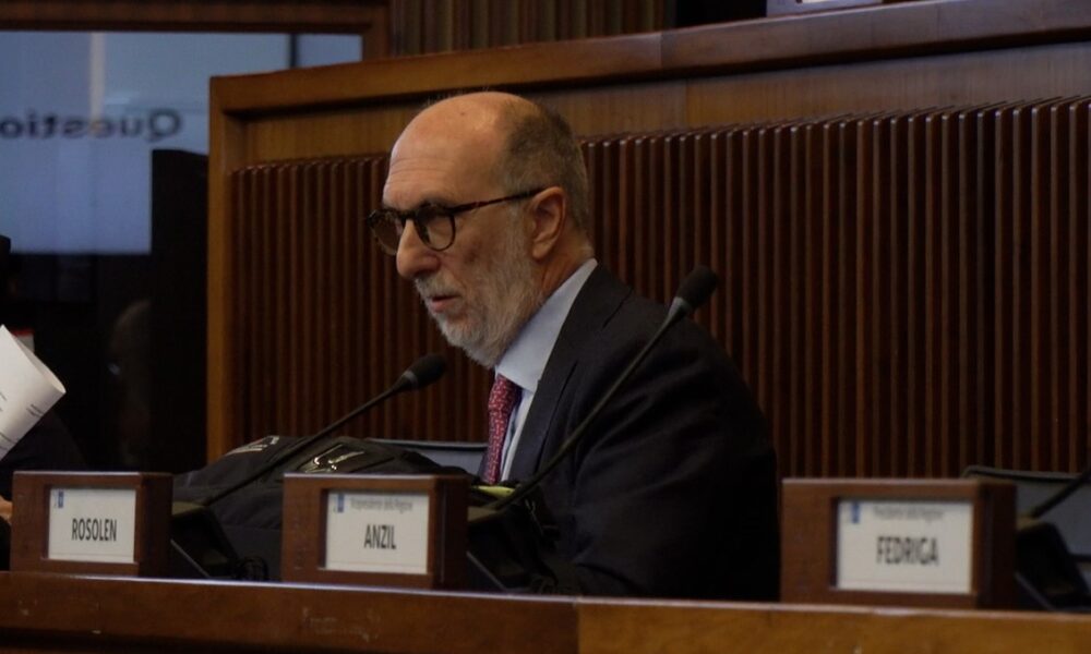 L'assessore Riccardo Riccardi in Consiglio regionale - nmedici di base FVG