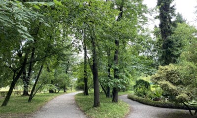 Area verde - Parchi Udine