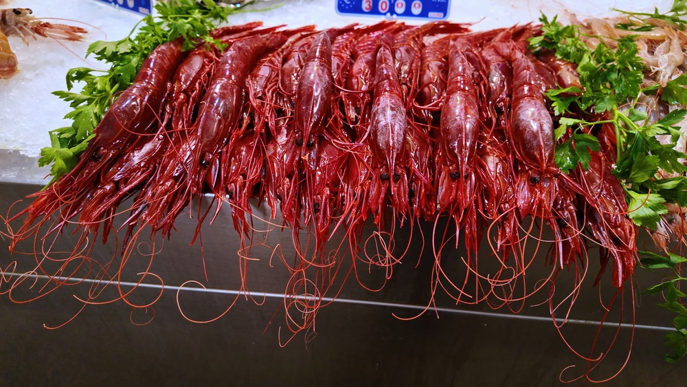 Gambero rosso di Mazara del Vallo - Maison Udine