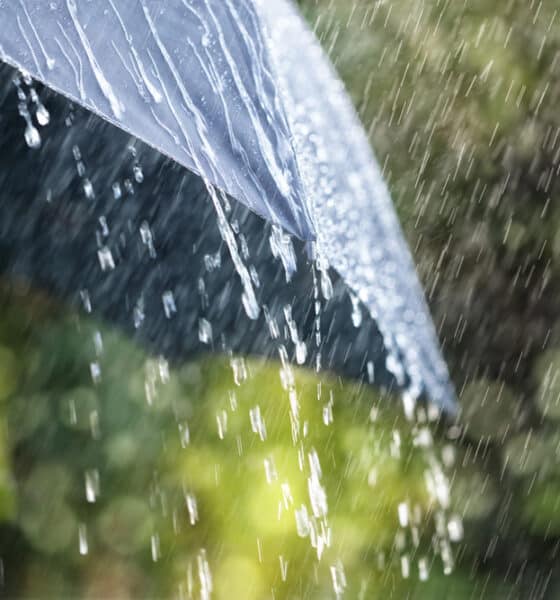 Maltempo - Maltempo FVG