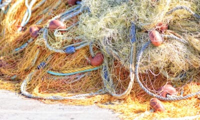 Rete da pesca - Pesca FVG