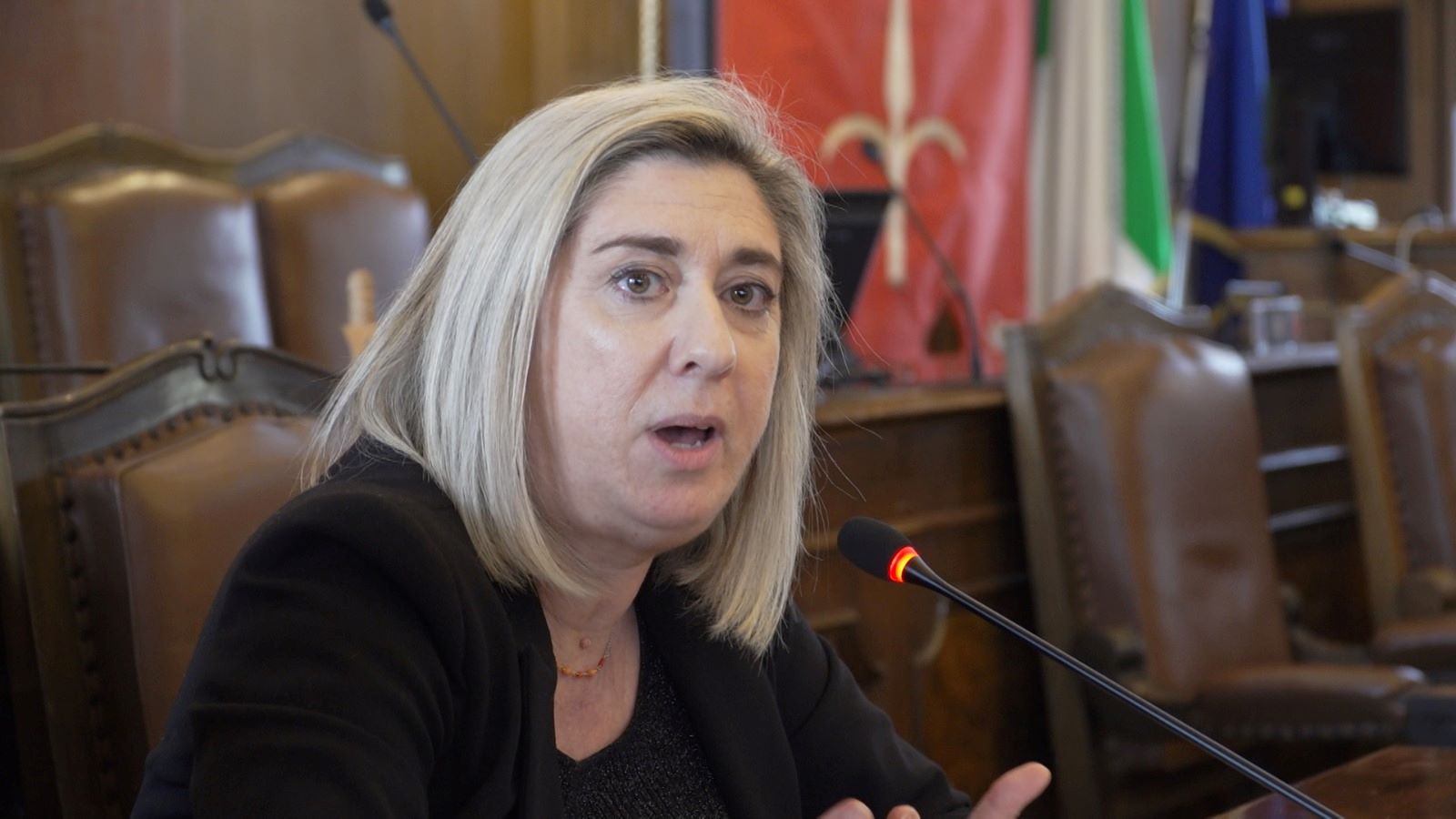L'assessore Amirante nel corso del suo intervento - nuovo Piano di governo del territorio