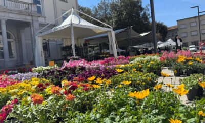 Monfalcone in Fiore 2026