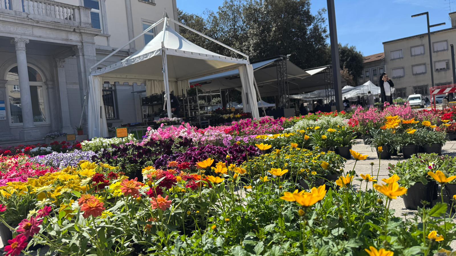 Monfalcone in Fiore 2026