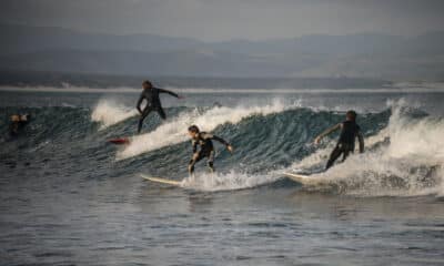 Surfisti