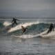 Surfisti