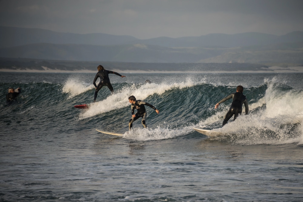 Surfisti