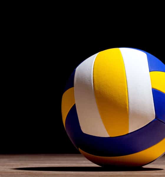 Pallavolo - Aquila Spilimbergo