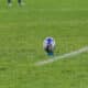 Pallone da rugby