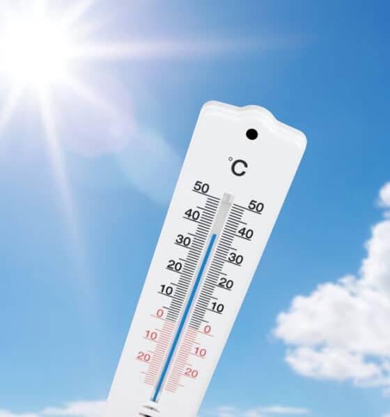 Temperature - Arpa Fvg