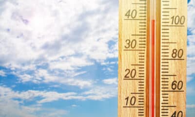 Temperatura elevata