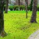 Spazio verde urbano - Da Regione FVG bando da 1,5 milioni