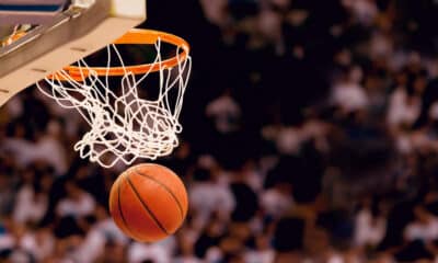 Palla da basket