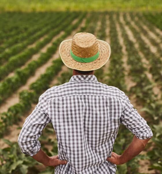 Agricoltore