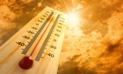 Temperature elevate