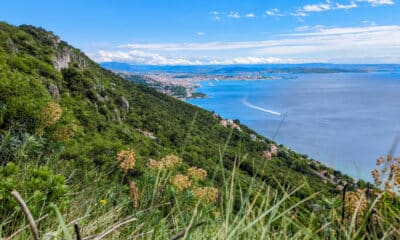 Golfo di Trieste