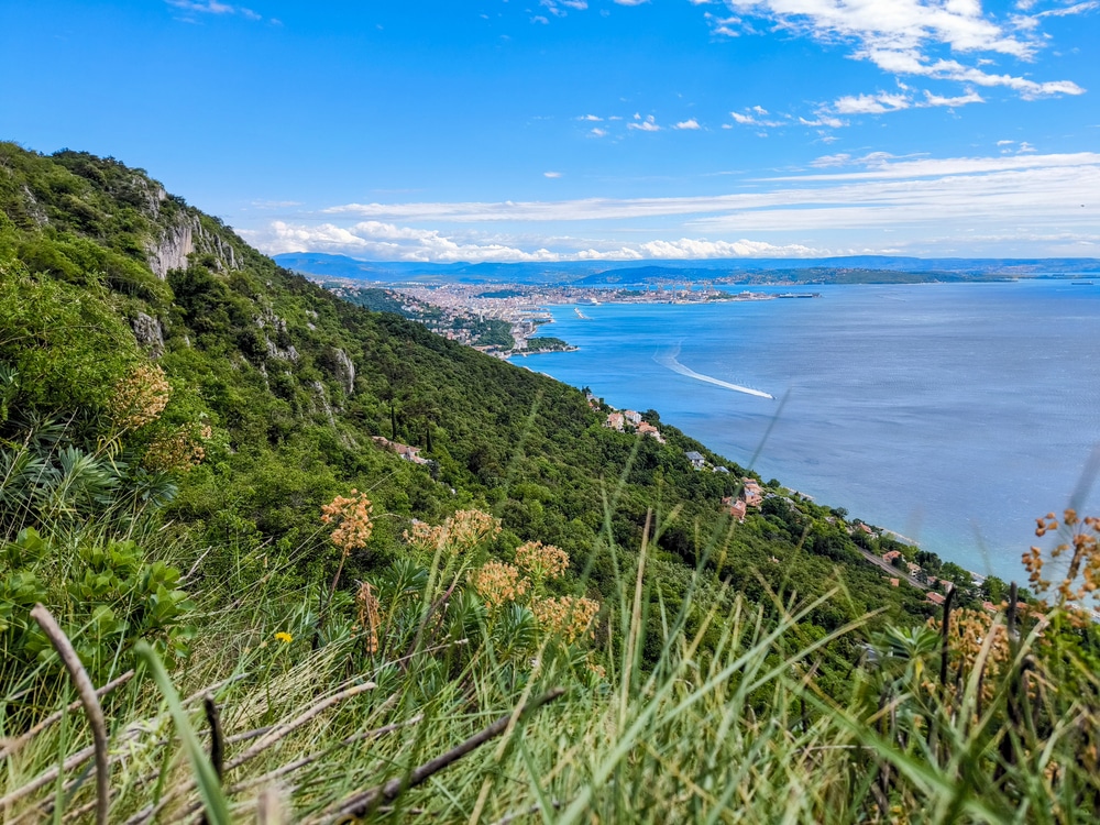 Golfo di Trieste
