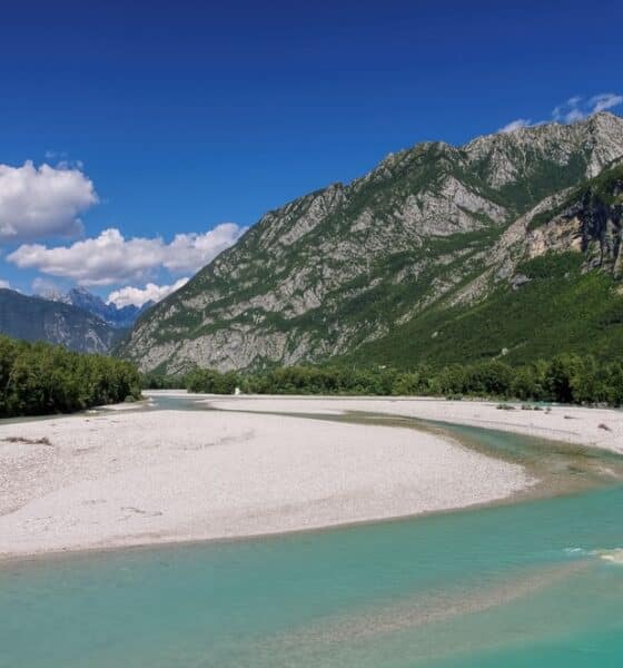 Tagliamento