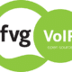 Logo fvg VoIP