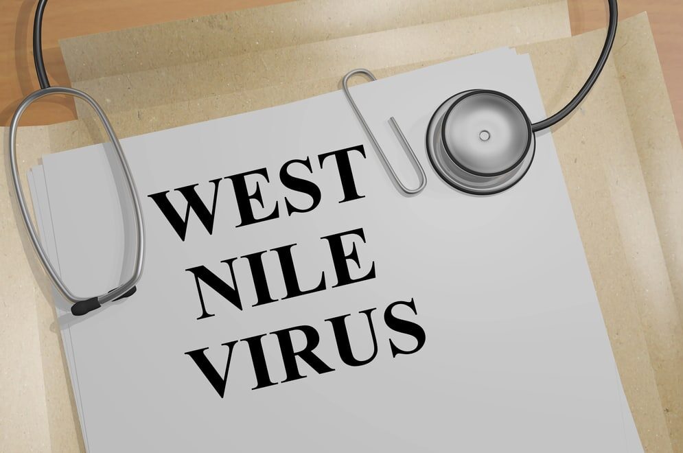 West Nile Virus - West Nile in FVG
