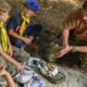 Boy scouts