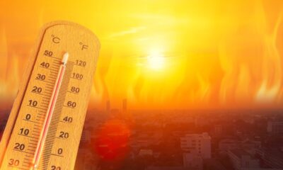 Temperatura elevata
